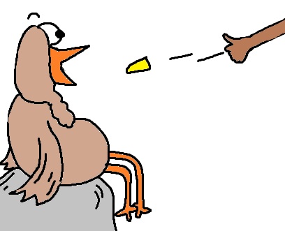 Turkey Template